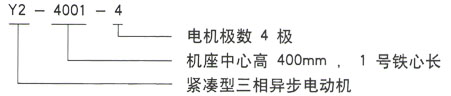 Y2系列三相異步電機技術(shù)參數(shù)——西安泰富西瑪電機(西安西瑪電機集團股份有限公司)官方網(wǎng)站 Y2系列三相異步電機技術(shù)參數(shù)——西安泰富西瑪電機(西安西瑪電機集團股份有限公司)官方網(wǎng)站