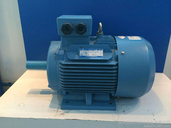 高效節(jié)能電機(jī)是西安泰富西瑪未來商業(yè)發(fā)展的方向。