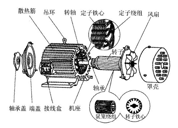 三相異步電動機的六種分類方法及具體分類。