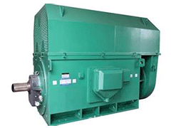 Y系列高壓三相異步電機——西安泰富西瑪電機(西安西瑪電機集團(tuán)股份有限公司)