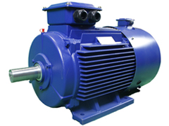 YVFE5系列高效變頻三相異步電動(dòng)機(jī)——西安泰富西瑪電機(jī)(西安西瑪電機(jī)集團(tuán)股份有限公司)